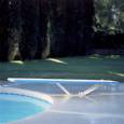 Interfab Duro-Spring Diving Boards